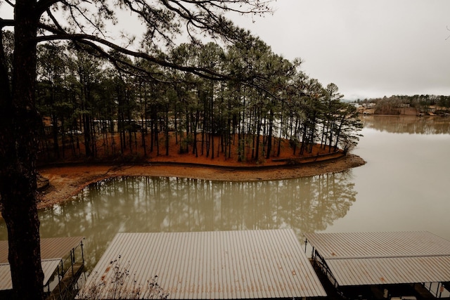 view of dock with a water view