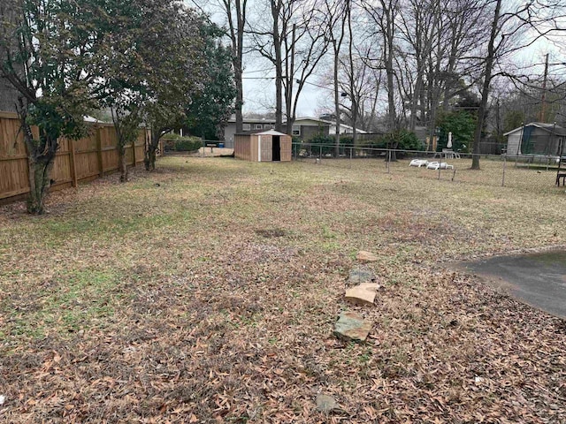 view of yard featuring a storage shed