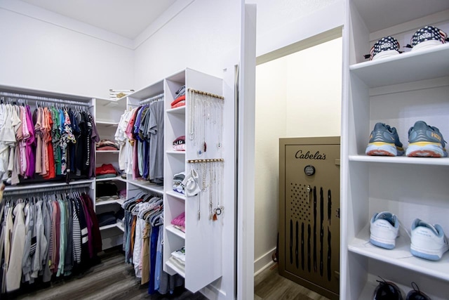 spacious closet with dark wood-type flooring