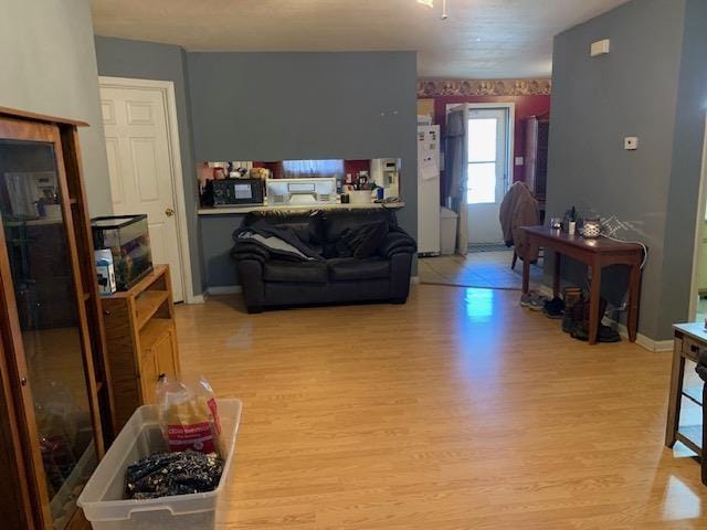 living room with light hardwood / wood-style floors