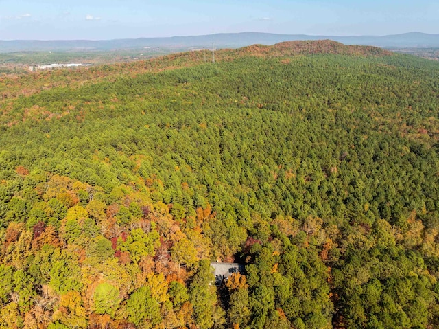 drone / aerial view with a mountain view