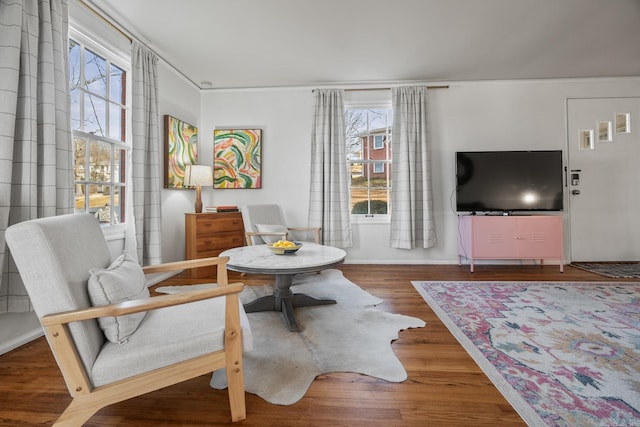 living area with plenty of natural light and wood-type flooring