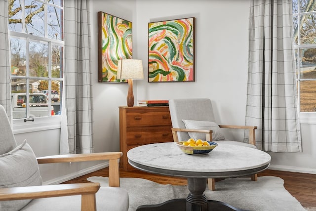 living area featuring wood-type flooring