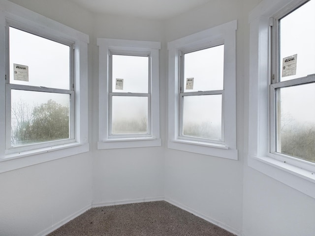 view of carpeted spare room