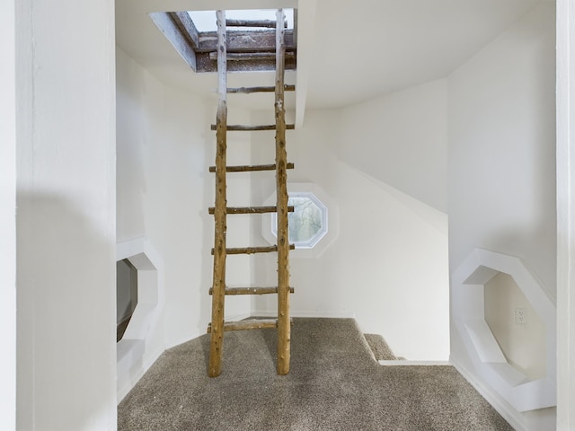 stairs featuring a skylight and carpet floors