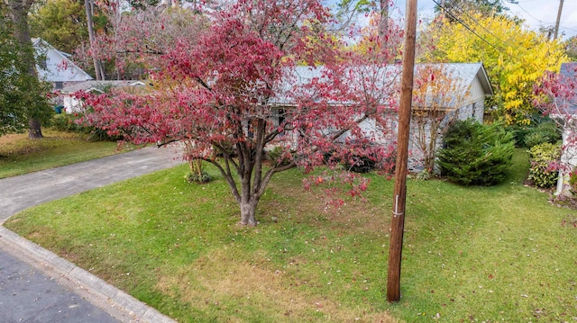 view of front of property with a front lawn