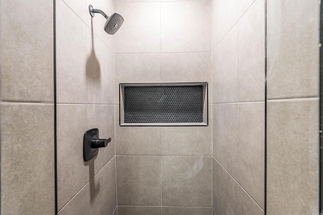 interior details featuring tiled shower