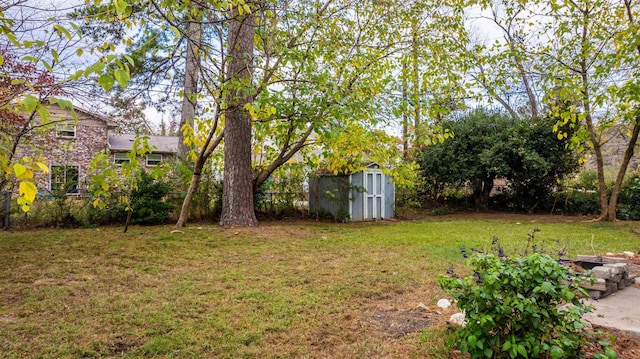 view of yard featuring a storage unit