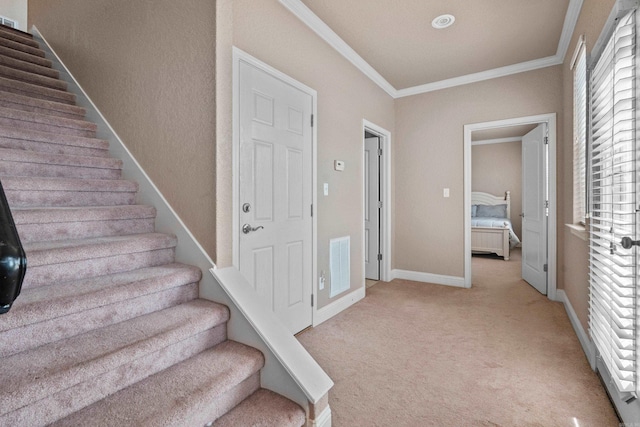 staircase featuring ornamental molding and carpet flooring