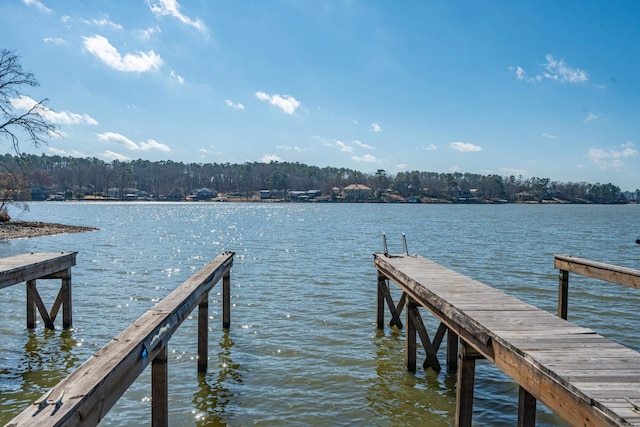 dock area with a water view