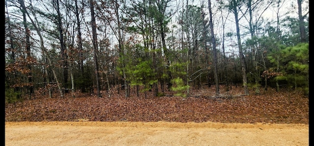 Listing photo 2 for LOT2 Bear Trl, Rison AR 71665