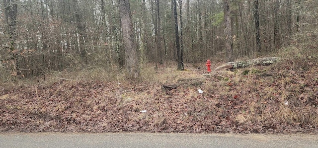 LOT4 Smith Rd, Rison, AR 71665
