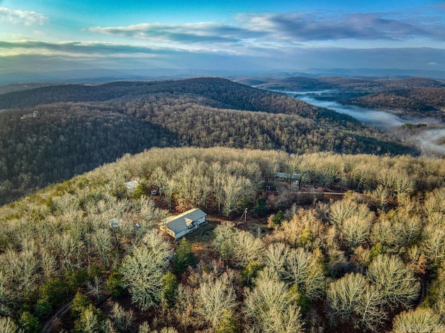 drone / aerial view featuring a mountain view