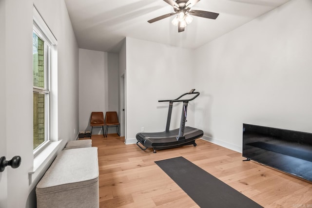 exercise room featuring hardwood / wood-style flooring and ceiling fan