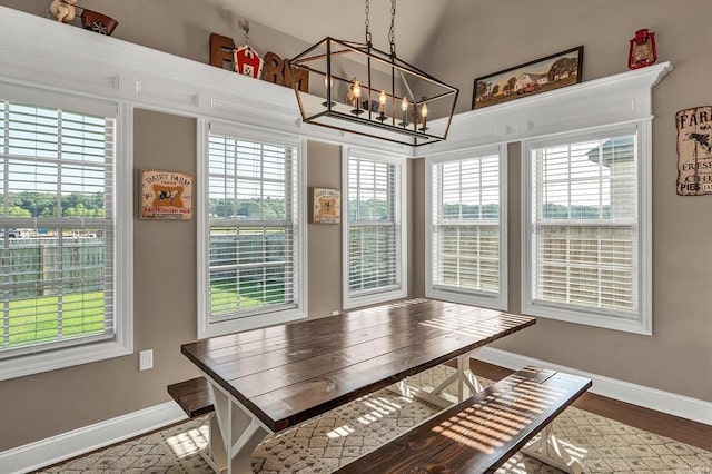 dining space with hardwood / wood-style flooring