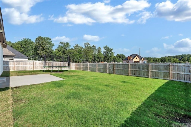 view of yard with a patio area and a trampoline