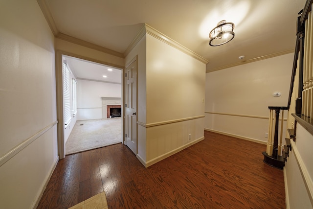 corridor featuring ornamental molding and dark hardwood / wood-style floors