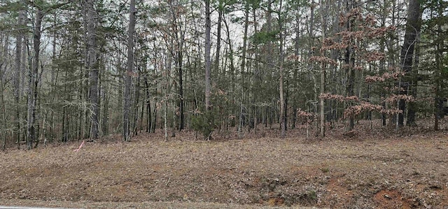 00 Dave Creek Pkwy, Fairfield Bay AR, 72088 land for sale