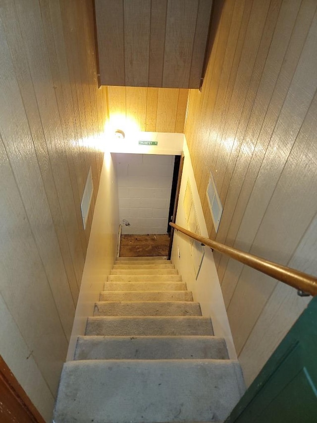 stairway with wooden walls