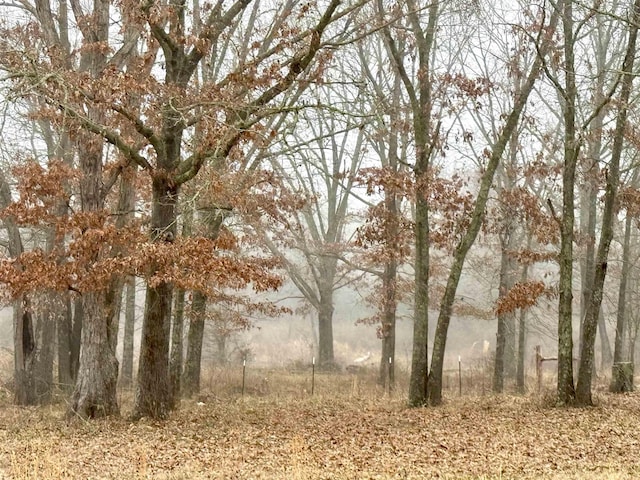 view of nature