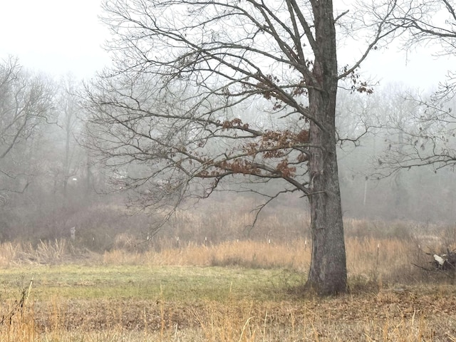 view of nature