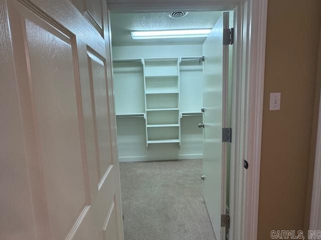 spacious closet featuring light carpet