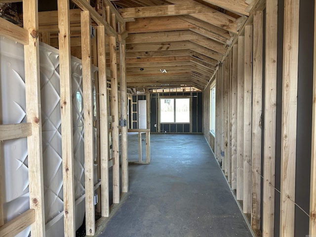 miscellaneous room with lofted ceiling