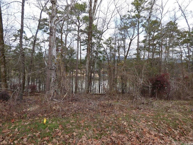 Listing photo 3 for TBD Lakeshore Dr, Hot Springs AR 71901