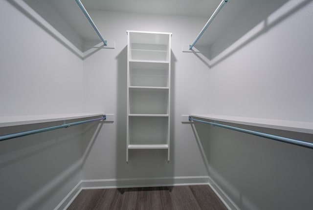 spacious closet featuring dark wood-type flooring