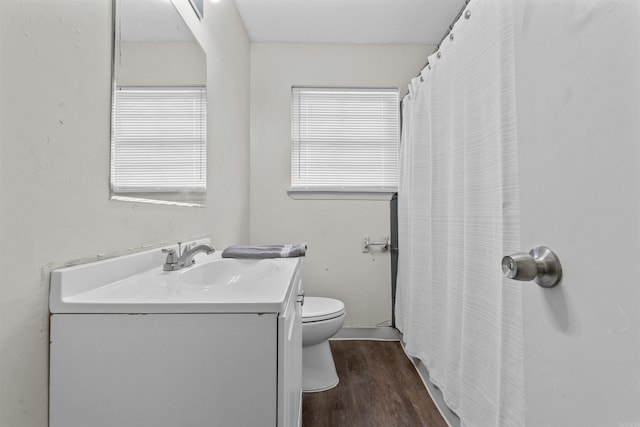 bathroom with vanity, wood-type flooring, and toilet