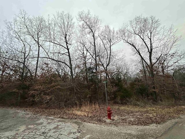 Listing photo 3 for TBD Wacasassa Dr, Cherokee Village AR 72529