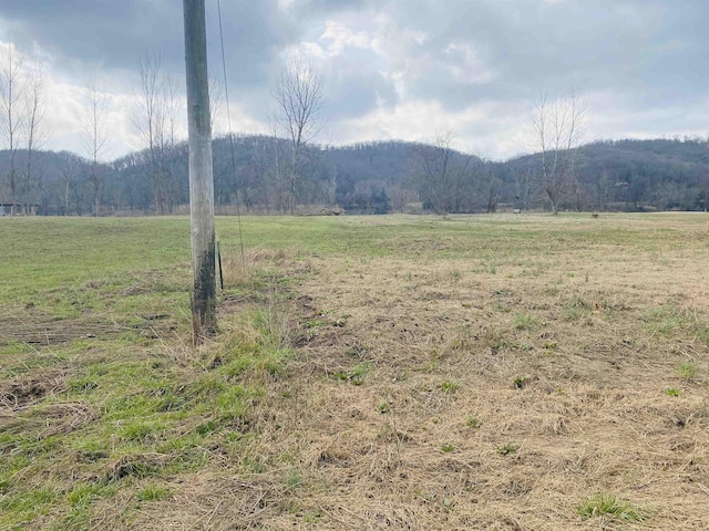 Listing photo 2 for LOT49 White River Run, Guion AR 72556