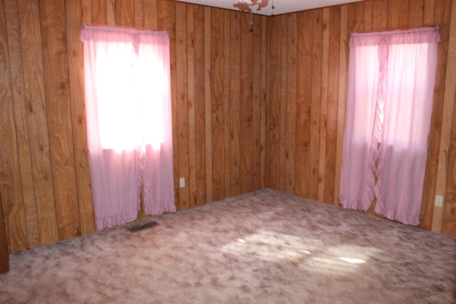 empty room featuring wooden walls and carpet