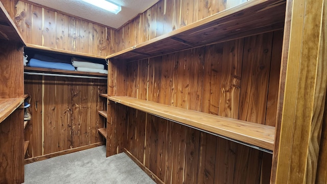 spacious closet with bar area and light carpet