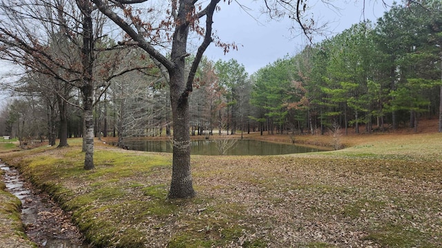 view of yard featuring a water view