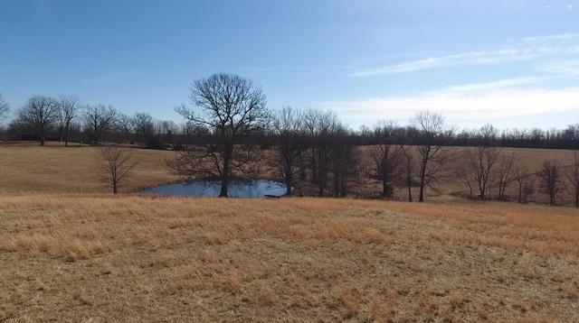 view of yard featuring a water view and a rural view