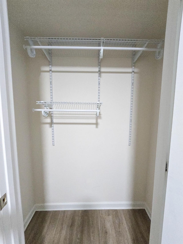 spacious closet featuring hardwood / wood-style flooring