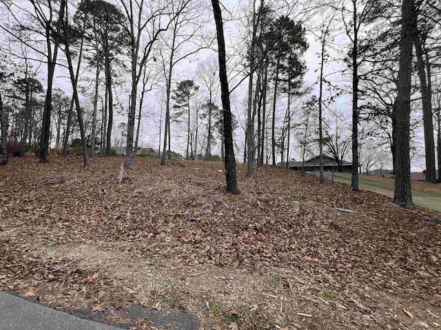 Listing photo 3 for 5 Gaza Ln, Hot Springs Village AR 71909