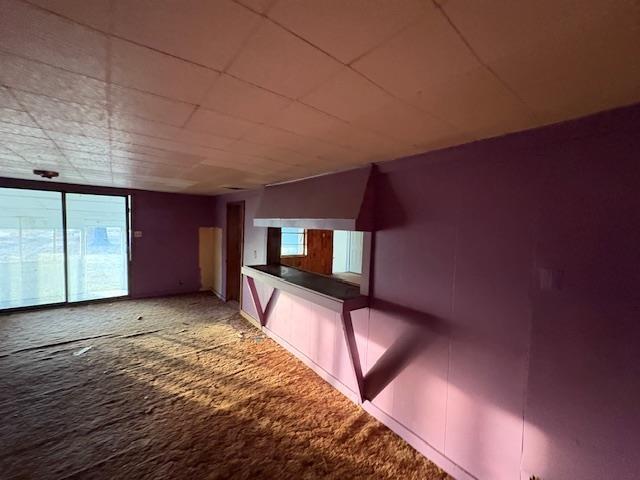 unfurnished room with carpet floors