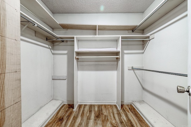 spacious closet featuring hardwood / wood-style flooring