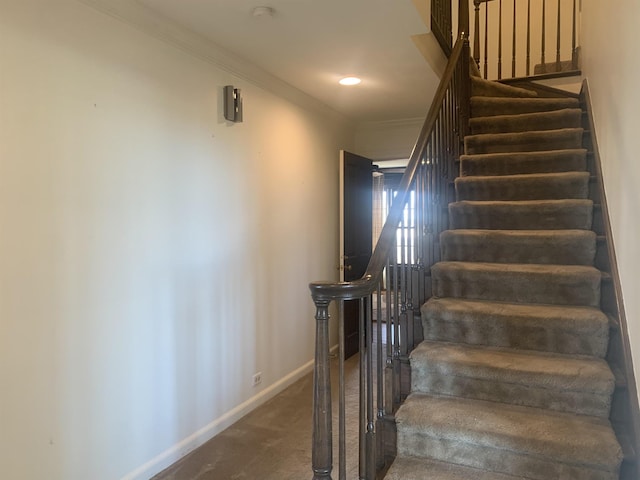 stairway featuring crown molding and carpet floors