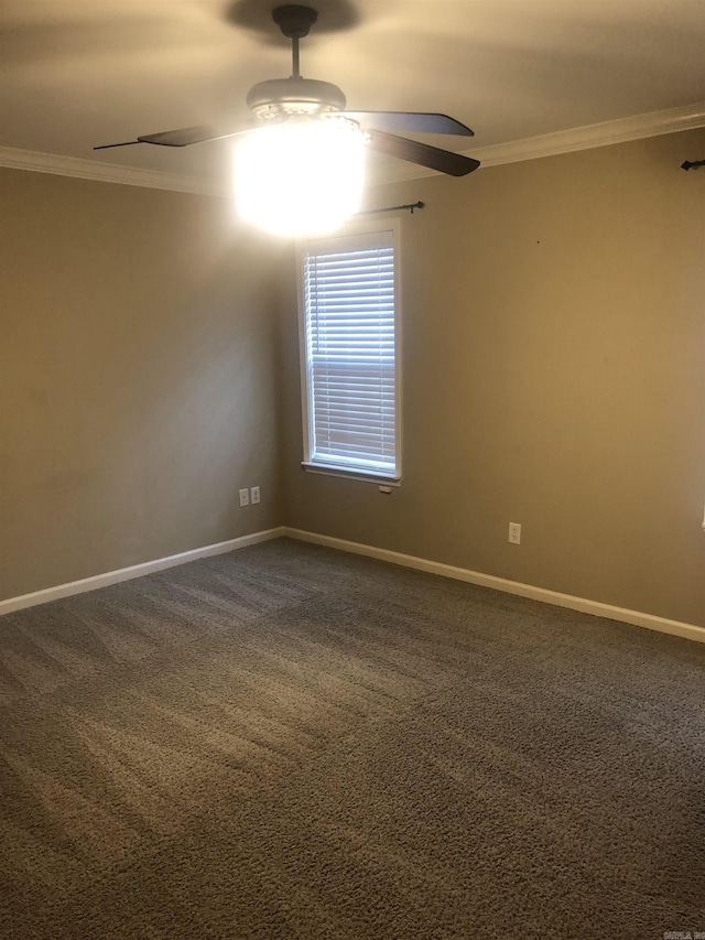 empty room with ceiling fan, ornamental molding, and carpet flooring