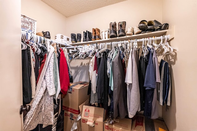 view of walk in closet