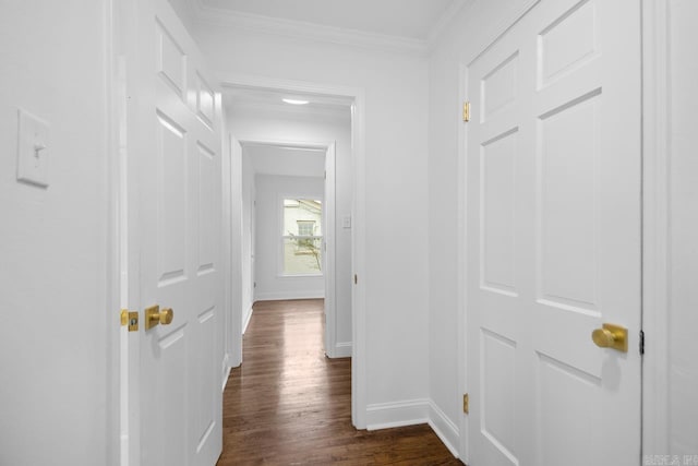 corridor with crown molding and dark hardwood / wood-style floors