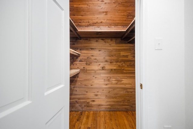 spacious closet with wood-type flooring