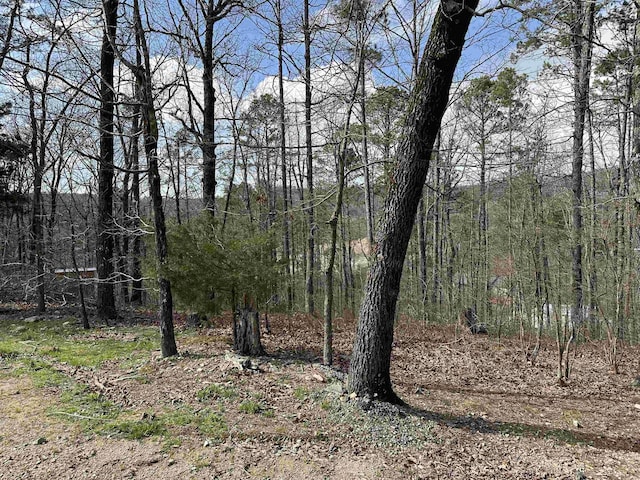 255 Gilmer Ln, Hot Springs AR, 71901 land for sale