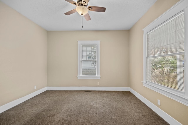 spare room featuring ceiling fan, plenty of natural light, carpet flooring, and a textured ceiling