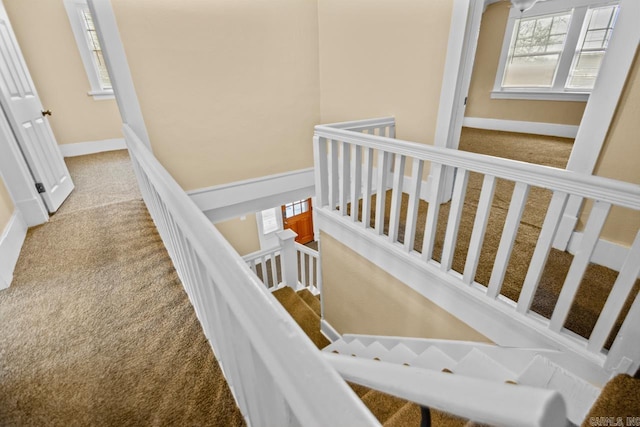 stairs featuring carpet flooring