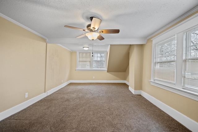 empty room with crown molding, carpet flooring, and a textured ceiling