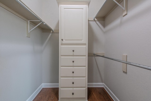 spacious closet featuring dark hardwood / wood-style flooring